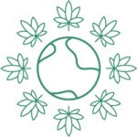 выращивание конопли в холодном климате